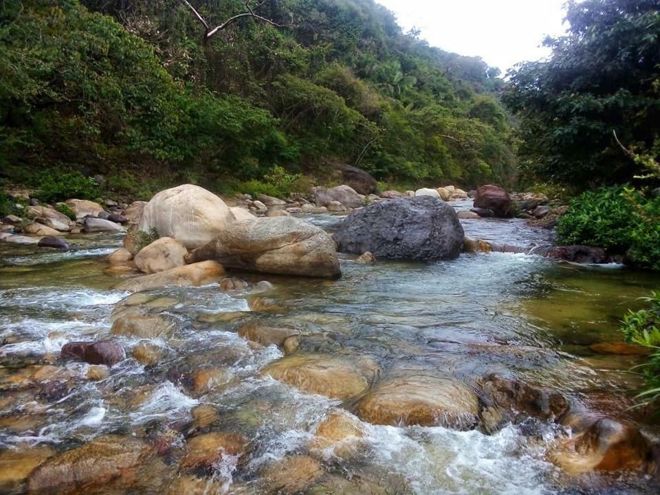 Casa Rio Cuale And River Retreat Puerto Vallarta Zewnętrze zdjęcie
