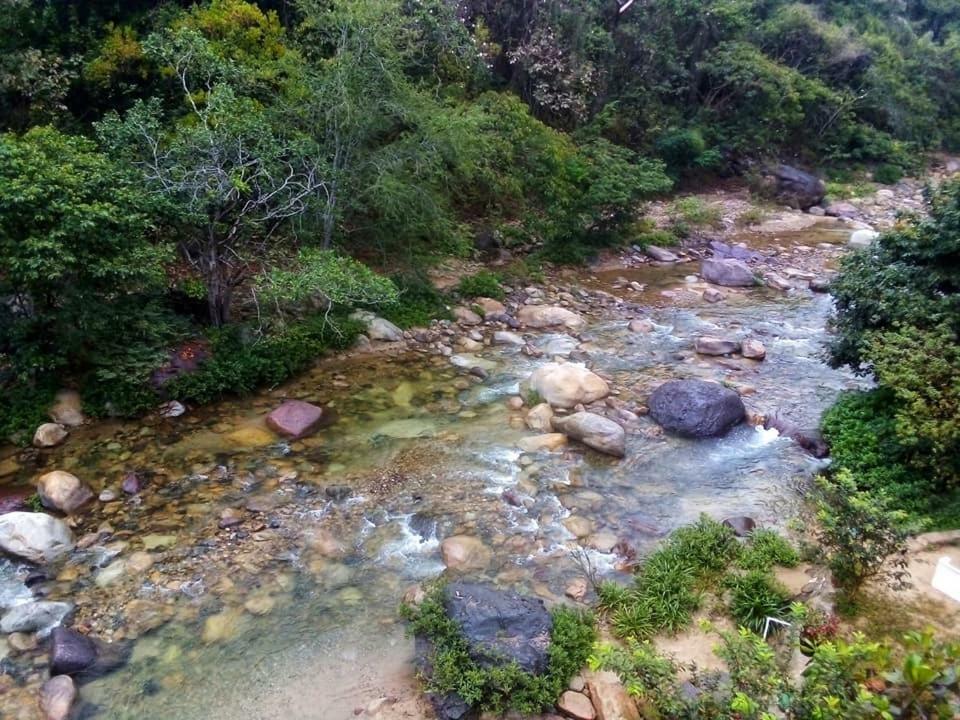 Casa Rio Cuale And River Retreat Puerto Vallarta Zewnętrze zdjęcie