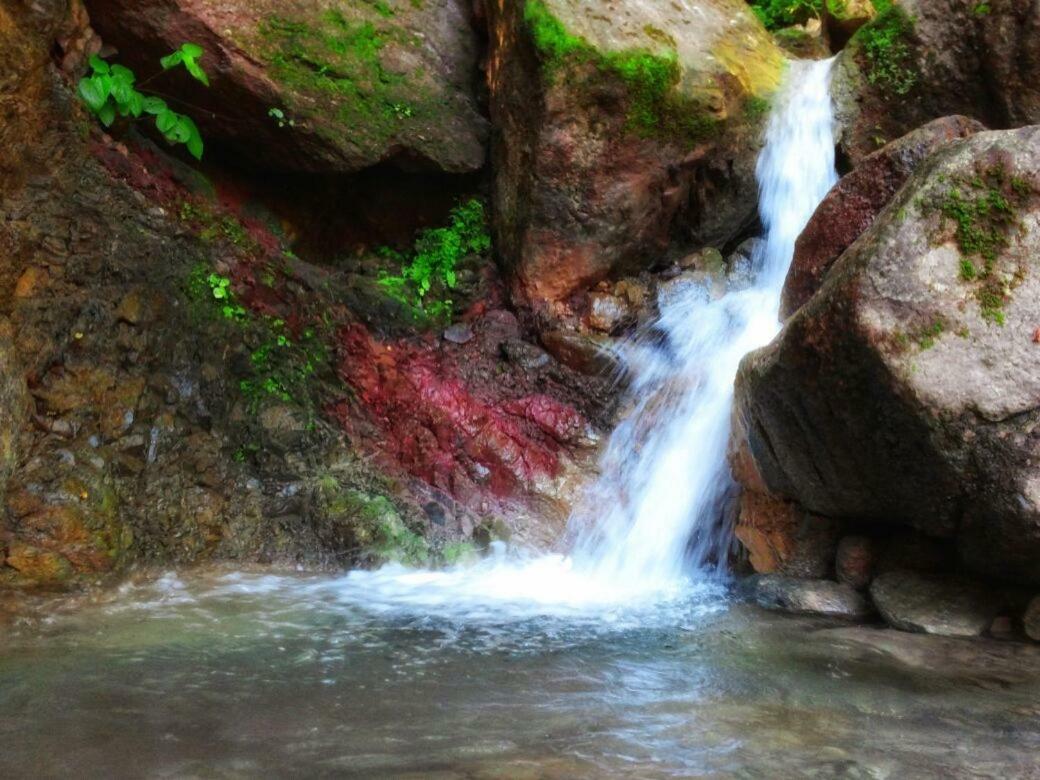 Casa Rio Cuale And River Retreat Puerto Vallarta Zewnętrze zdjęcie